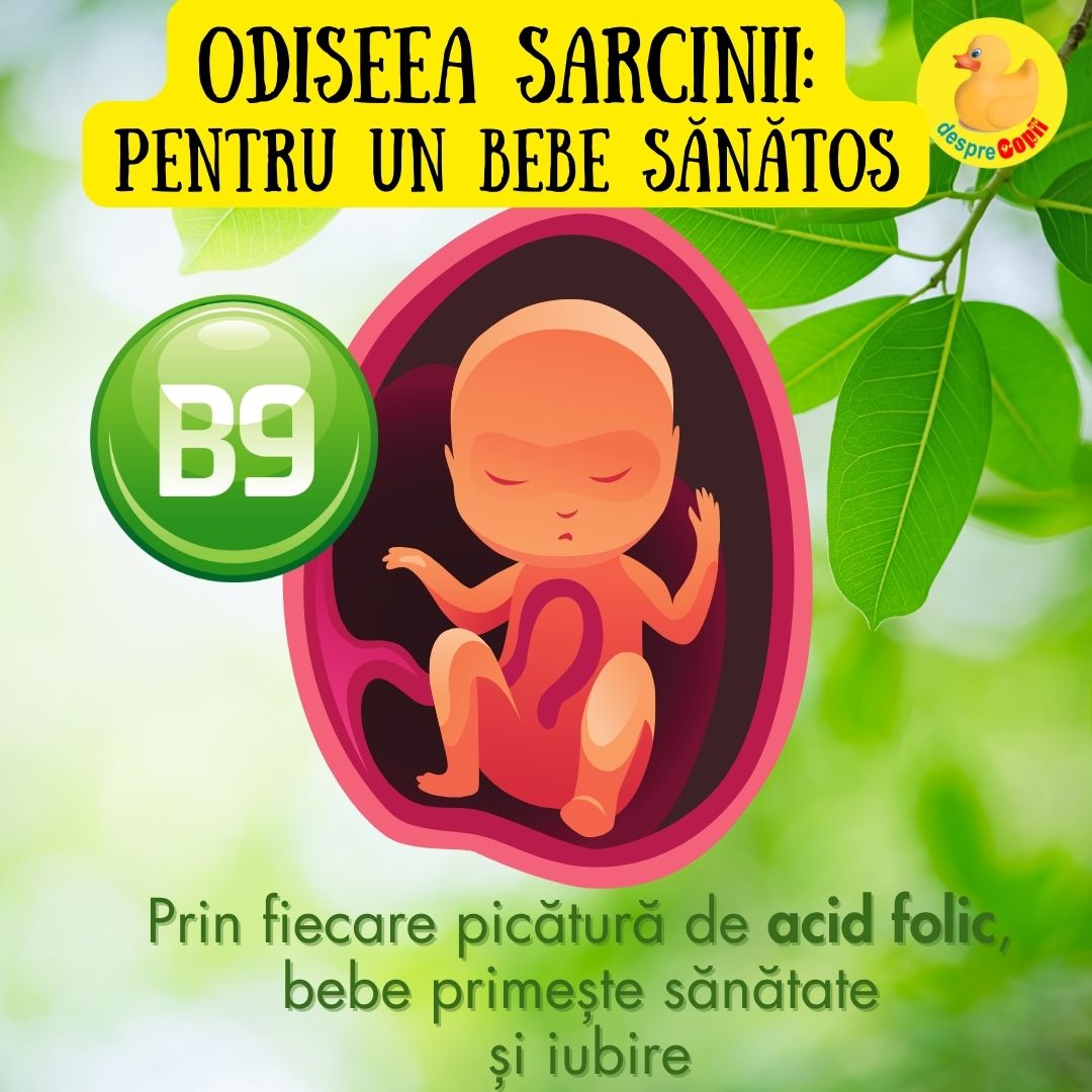 acid folic sarcina 