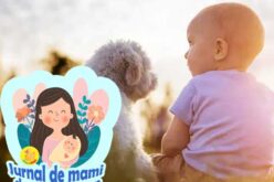 Bebe e un aspirator de scame: despre microbii benefici de langa noi –  jurnal de mami de bebe scump