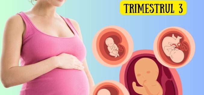 Al treilea trimestru de sarcină – trimestrul in care bebe și mami cresc vertiginos: simptome specifice și dezvoltare pe săptămâni