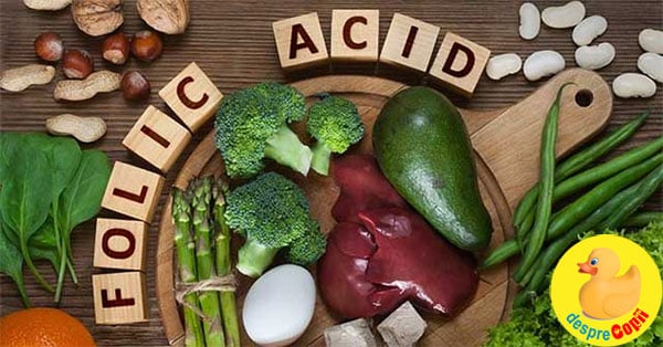 acid folic sarcina