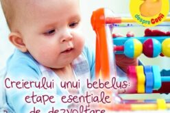 Etape esențiale de dezvoltare a creierului unui bebeluș