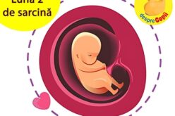 Luna 2 de sarcină: apogeul grețurilor și prima bătaie a inimii bebelușului tău