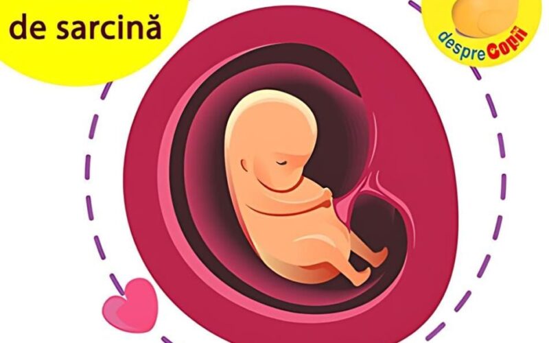 Luna 2 de sarcină: apogeul grețurilor și prima bătaie a inimii bebelușului tău