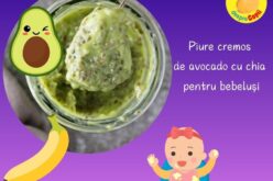 Piure cremos de avocado cu chia. O combinatie sanatoasa si delicioasa plina de grasimi sanatoase si fibre – reteta pentru bebelusi