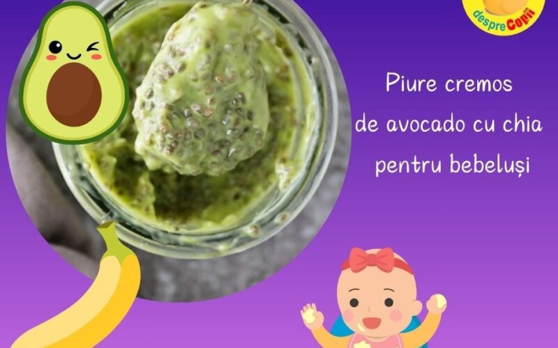 Piure cremos de avocado cu chia. O combinatie sanatoasa si delicioasa plina de grasimi sanatoase si fibre – reteta pentru bebelusi