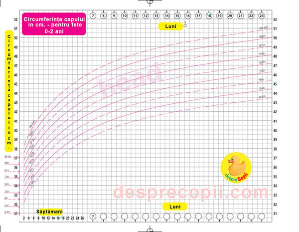capul bebelusului grafic crestere