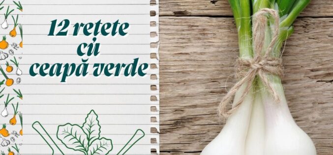 12 rețete cu ceapă verde: o poveste despre sănătate, aromă și tradiție