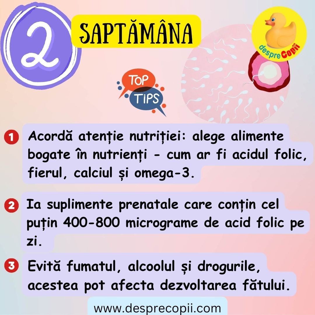 saptamana 2 sarcina