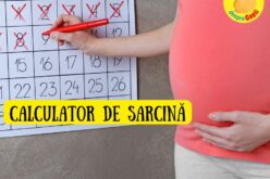 Calculator de Sarcină. Calculatorul acesta iți spune data nașterii puiului tău