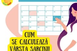 CUM se calculează varsta sarcinii: metodă corectă și CALCULATOR