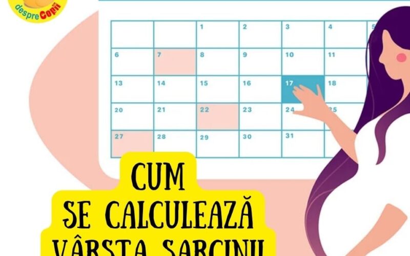 CUM se calculează varsta sarcinii: metodă corectă și CALCULATOR