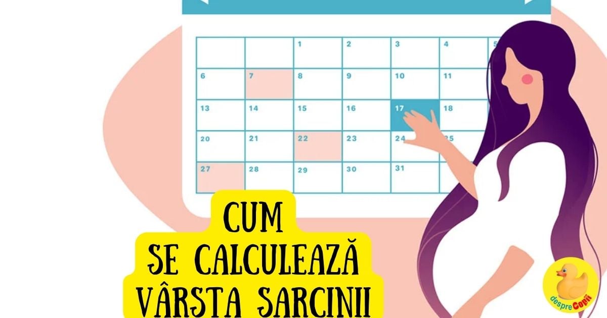 Cum se calculeaza varsta sarcinii - metoda corecta si CALCULATOR