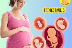 Al treilea trimestru de sarcină – trimestrul in care bebe și mami cresc vertiginos: simptome specifice și dezvoltare pe săptămâni