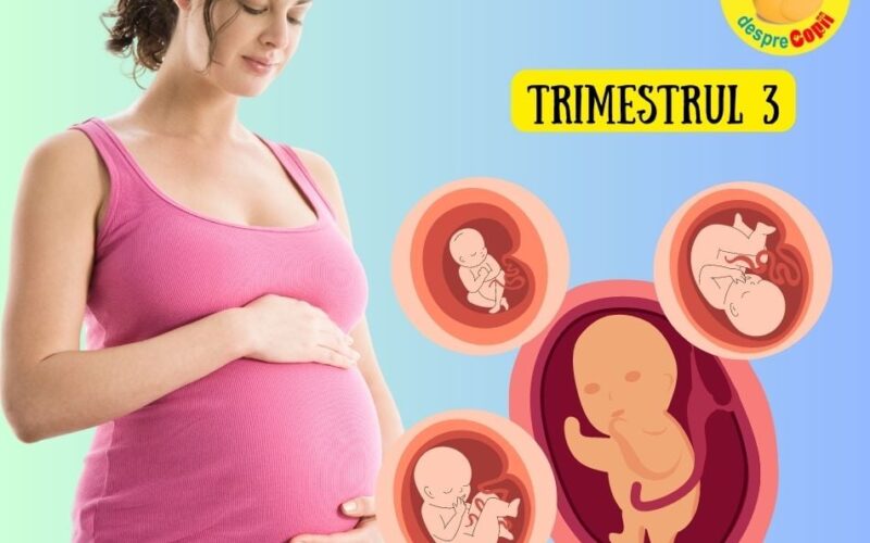 Al treilea trimestru de sarcină – trimestrul in care bebe și mami cresc vertiginos: simptome specifice și dezvoltare pe săptămâni