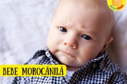 Bebelușul tip MOROCANILĂ – un bebe cu atitudine de șef – cum trebuie abordată situația