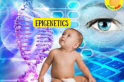 10 fapte uimitoare despre epigenetică si modul in care ne influenteaza copiii – ce putem face pentru a le oferi cat mai multe avantaje