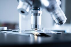 Cum a dinamizat MedLife medicina de laborator