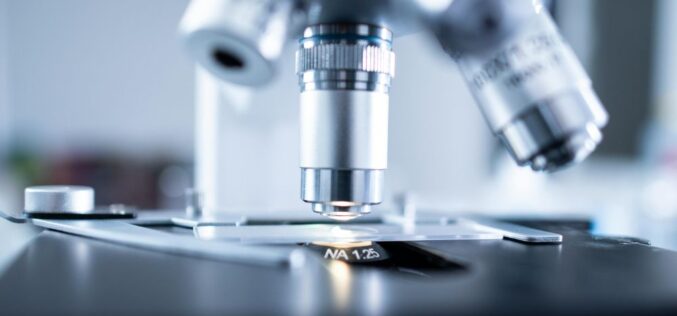 Cum a dinamizat MedLife medicina de laborator