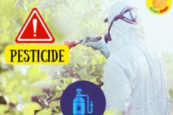 Putem elimina pesticidele de pe fructe si legume? Un ghid pentru a ne apara copiii de substanțe chimice toxice