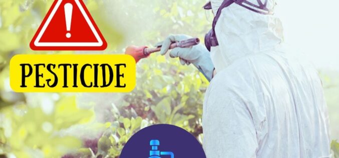 Putem elimina pesticidele de pe fructe si legume? Un ghid pentru a ne apara copiii de substanțe chimice toxice