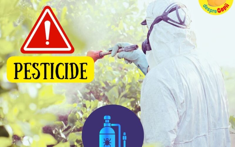 Putem elimina pesticidele de pe fructe si legume? Un ghid pentru a ne apara copiii de substanțe chimice toxice