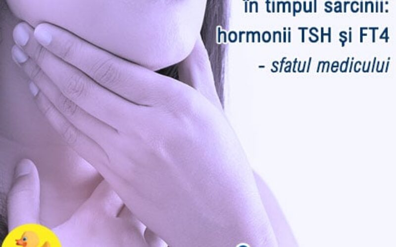 Testarea funcției tiroidei în timpul sarcinii: hormonii TSH și FT4 – sfatul medicului (VIDEO)